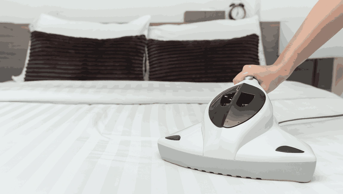 Professional Mattress Cleaning Somerville
